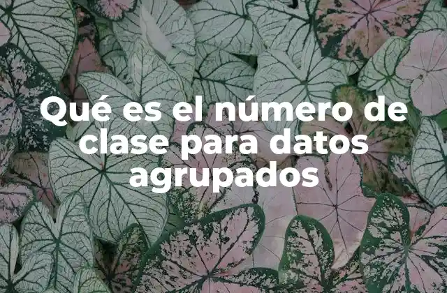 Qué es el Número de Clase para Datos Agrupados 2 La importancia de elegir correctamente el número de clases