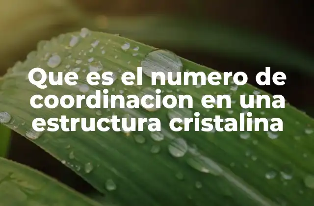 Que es el Numero de Coordinacion en una Estructura Cristalina