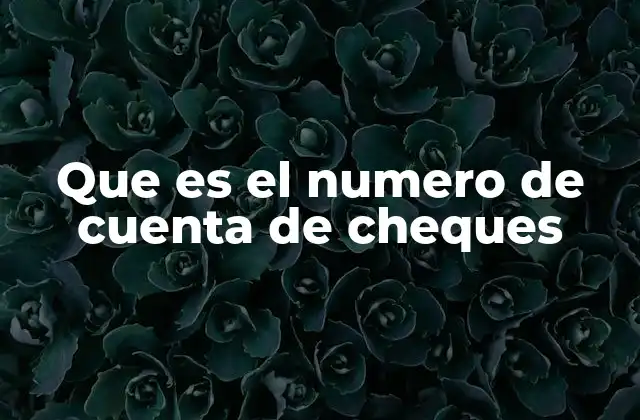 Que es el Numero de Cuenta de Cheques