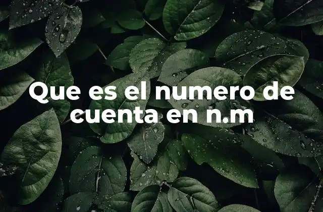 Que es el Numero de Cuenta en N.m