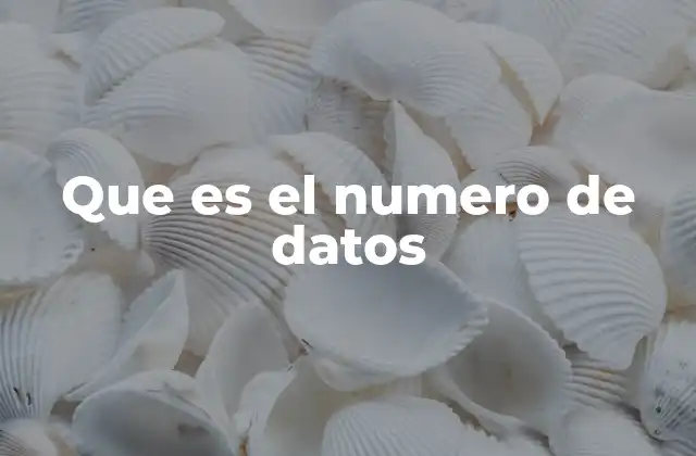Que es el Numero de Datos