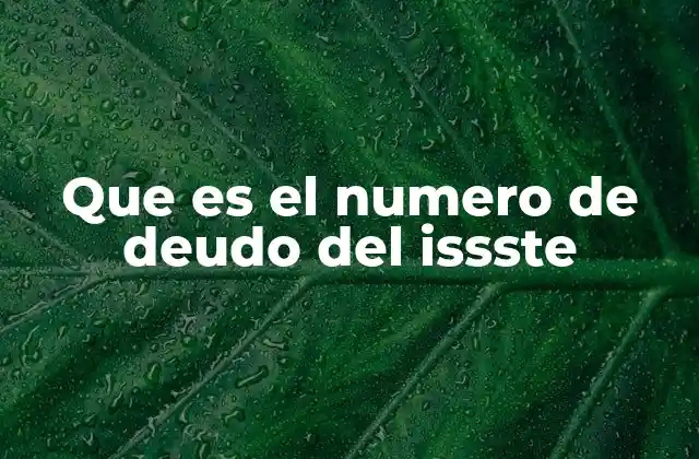Que es el Numero de Deudo Del Issste
