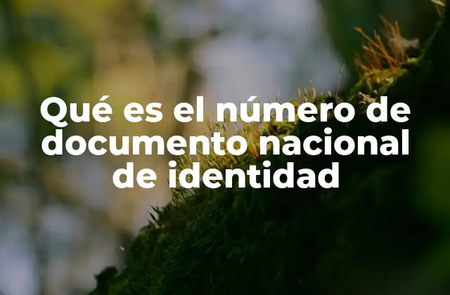 La importancia del número de identidad en la vida cotidiana