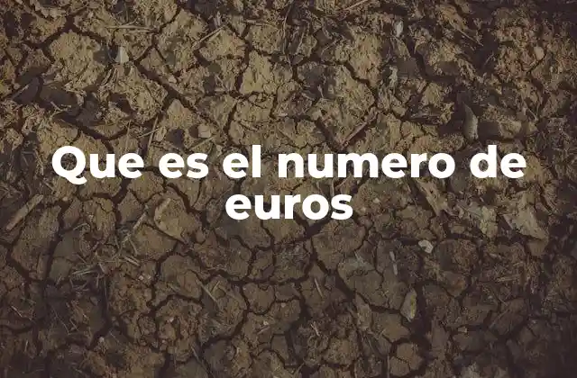 Que es el Numero de Euros