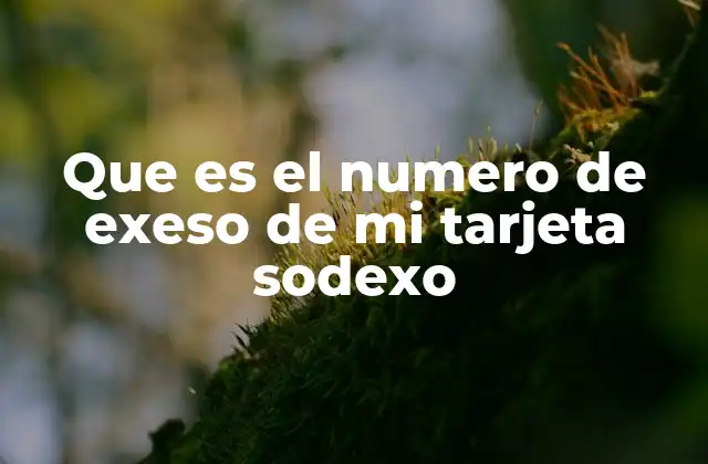 Cómo funciona el sistema de seguridad en las tarjetas Sodexo