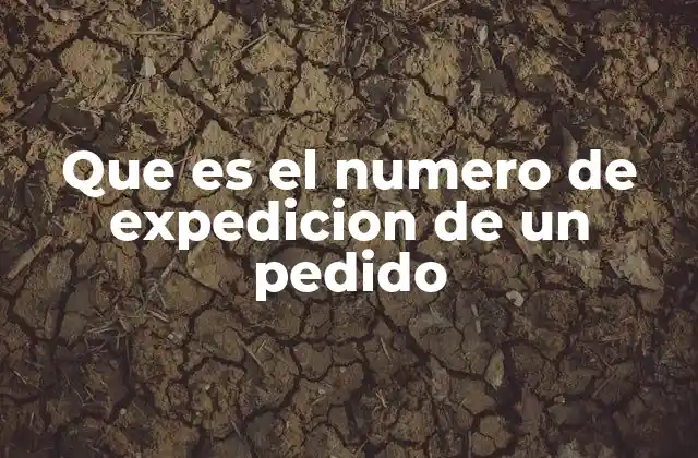 El papel del número de expedición en la logística moderna