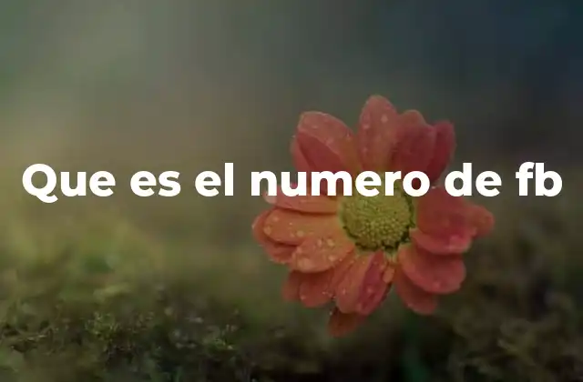 Que es el Numero de Fb