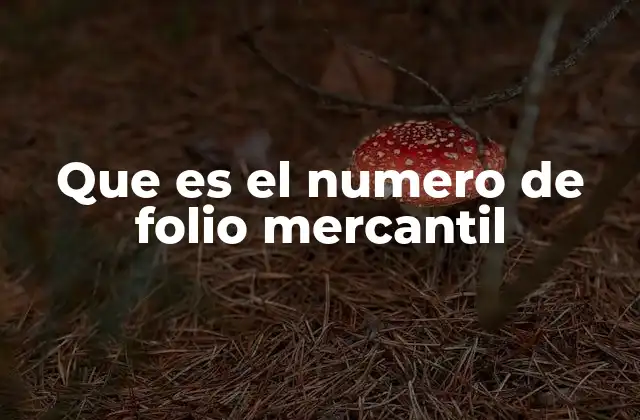 Que es el Numero de Folio Mercantil