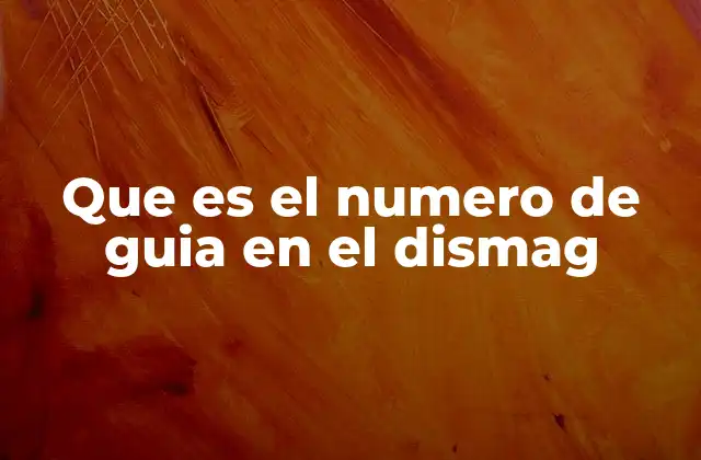 Que es el Numero de Guia en el Dismag