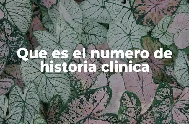 Que es el Numero de Historia Clinica