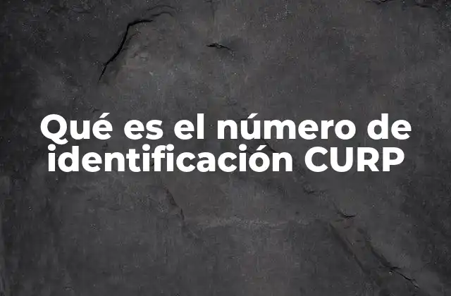 El rol del CURP en la identidad digital de los ciudadanos mexicanos