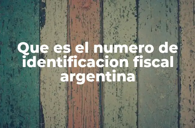 Que es el Numero de Identificacion Fiscal Argentina