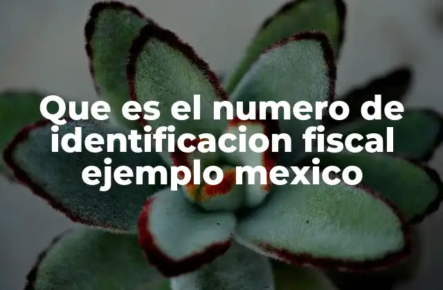 Que es el Numero de Identificacion Fiscal Ejemplo Mexico