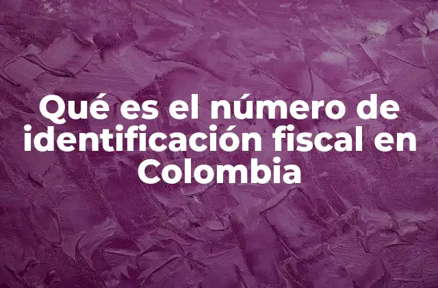 Qué es el Número de Identificación Fiscal en Colombia