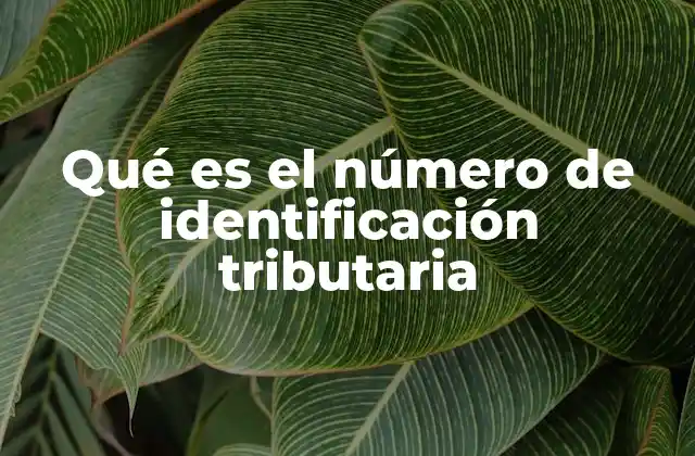Qué es el Número de Identificación Tributaria