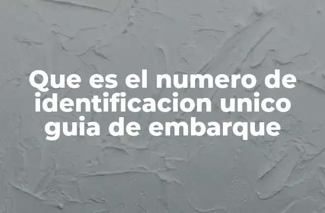 Que es el Numero de Identificacion Unico Guia de Embarque
