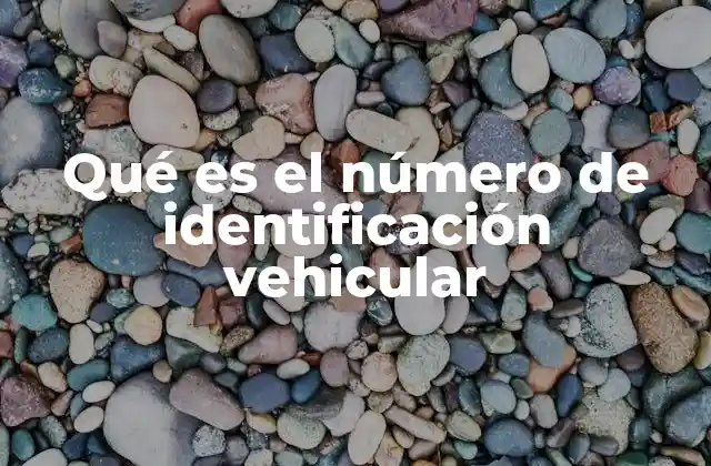 Qué es el Número de Identificación Vehicular