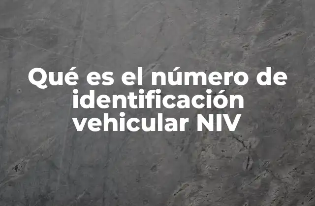 Qué es el Número de Identificación Vehicular Niv