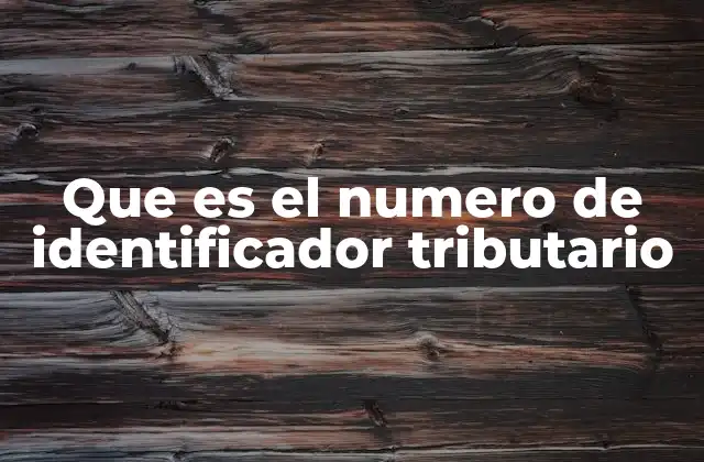 Que es el Numero de Identificador Tributario
