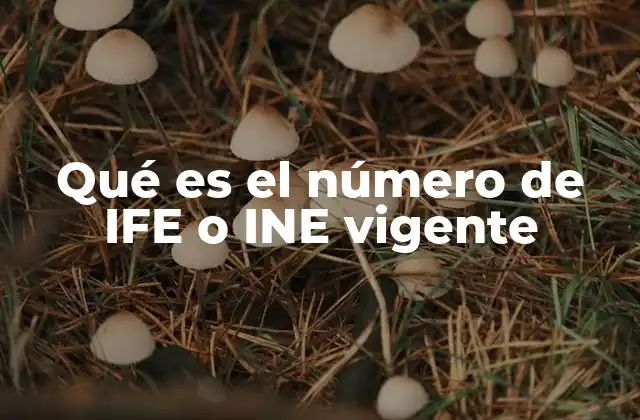 Qué es el Número de Ife o Ine Vigente