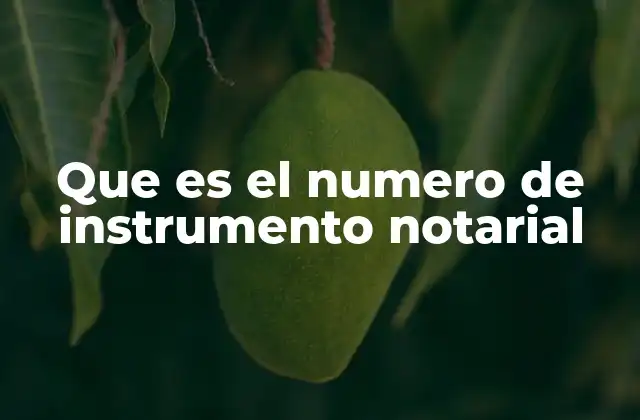 Que es el Numero de Instrumento Notarial 2 La importancia del número de instrumento en el sistema notarial