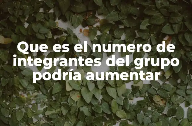 Que es el Numero de Integrantes Del Grupo Podría Aumentar