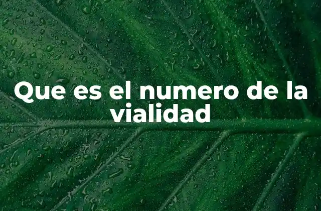 Que es el Numero de la Vialidad