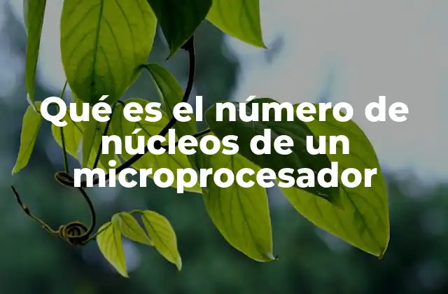Qué es el Número de Núcleos de un Microprocesador