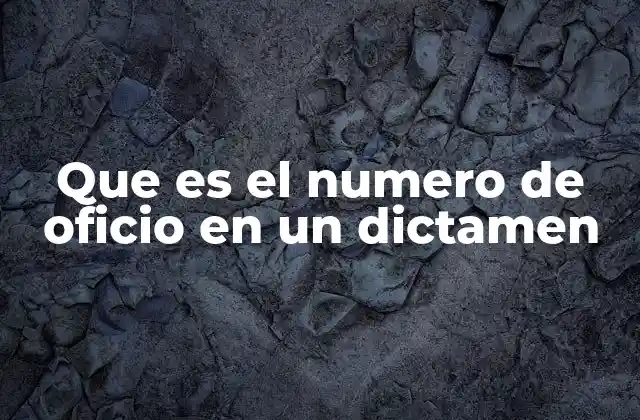 Que es el Numero de Oficio en un Dictamen
