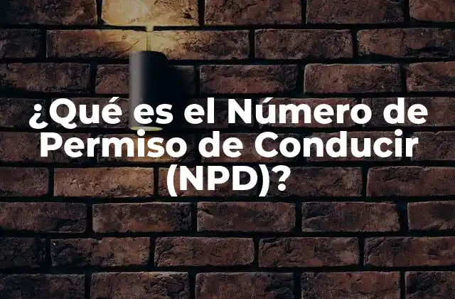 ¿qué es el Número de Permiso de Conducir (npd)?