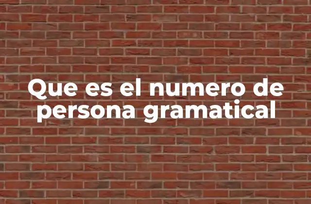Que es el Numero de Persona Gramatical