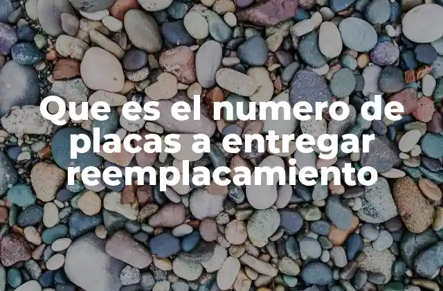 Que es el Numero de Placas a Entregar Reemplacamiento 2 El proceso de reemplacamiento de placas vehiculares