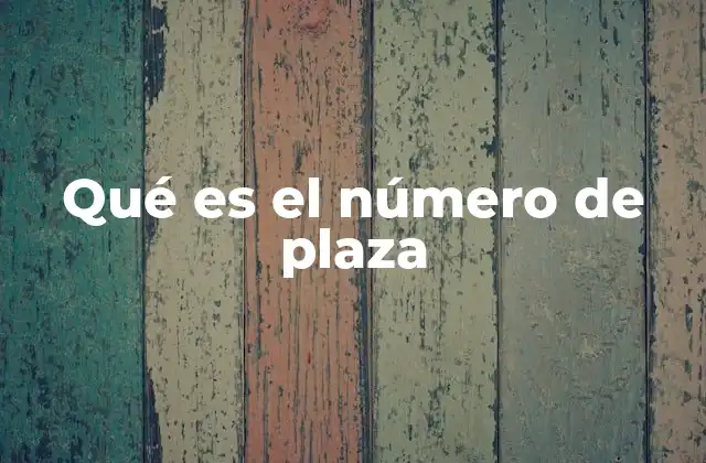 Qué es el Número de Plaza