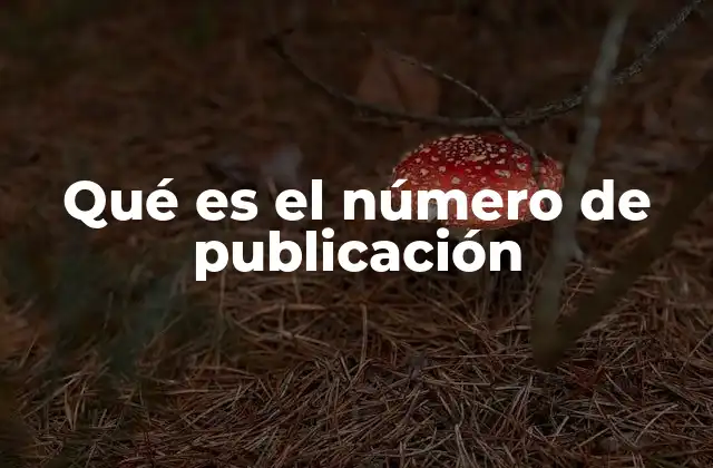 Qué es el Número de Publicación