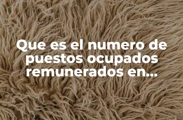 Que es el Numero de Puestos Ocupados Remunerados en Economia
