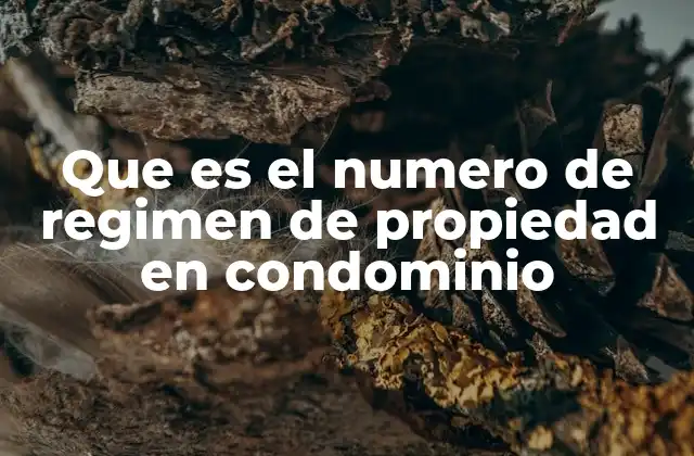 Que es el Numero de Regimen de Propiedad en Condominio