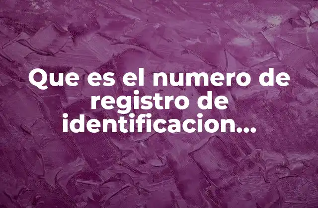 Que es el Numero de Registro de Identificacion Tributaria
