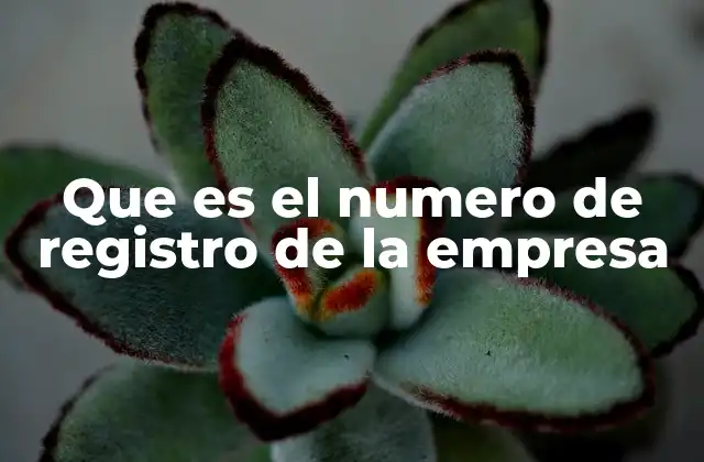 Que es el Numero de Registro de la Empresa