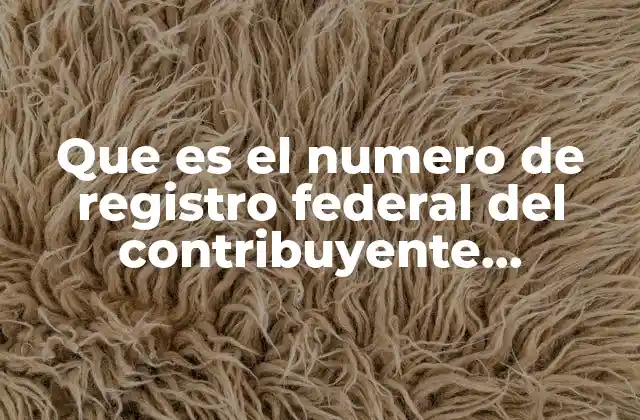 Que es el Numero de Registro Federal Del Contribuyente Asociado