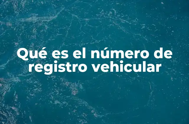 Qué es el Número de Registro Vehicular