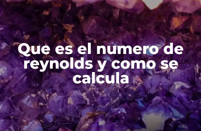 Que es el Numero de Reynolds y como Se Calcula