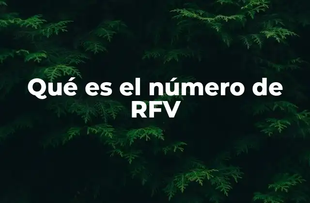 Qué es el Número de Rfv