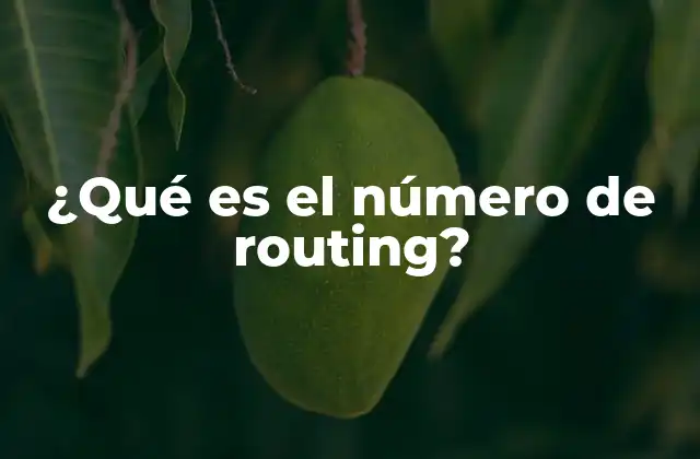 Cómo se utiliza el número de routing en las transacciones bancarias