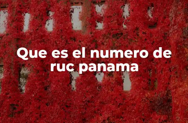 Que es el Numero de Ruc Panama 2 La importancia del RUC en el sistema tributario panameño