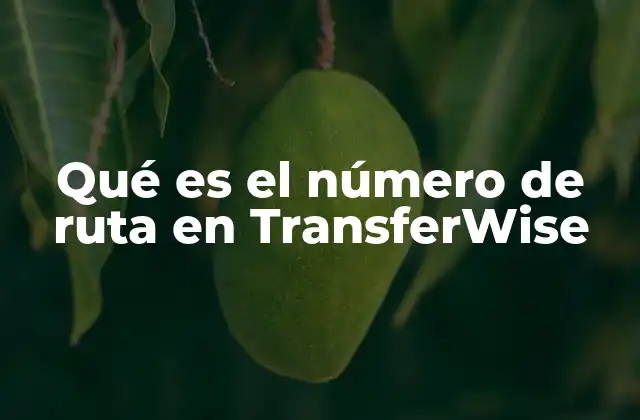 Qué es el Número de Ruta en Transferwise