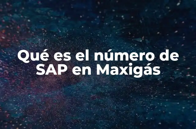 Qué es el Número de Sap en Maxigás