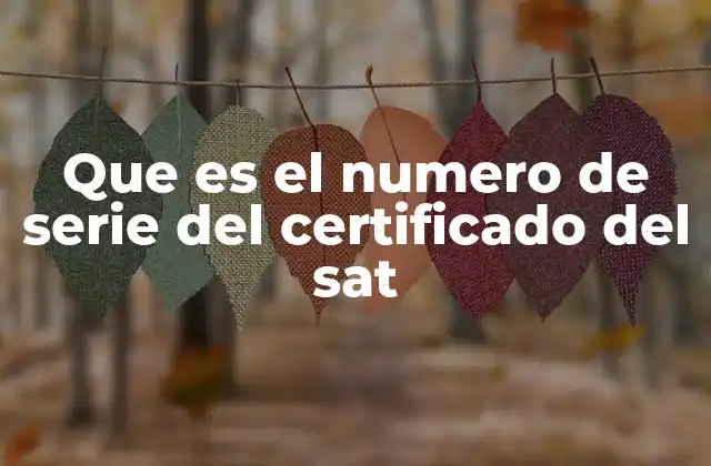 Que es el Numero de Serie Del Certificado Del Sat