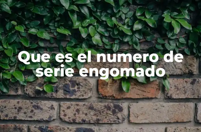 Que es el Numero de Serie Engomado