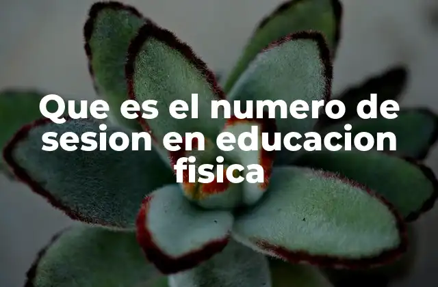 Que es el Numero de Sesion en Educacion Fisica