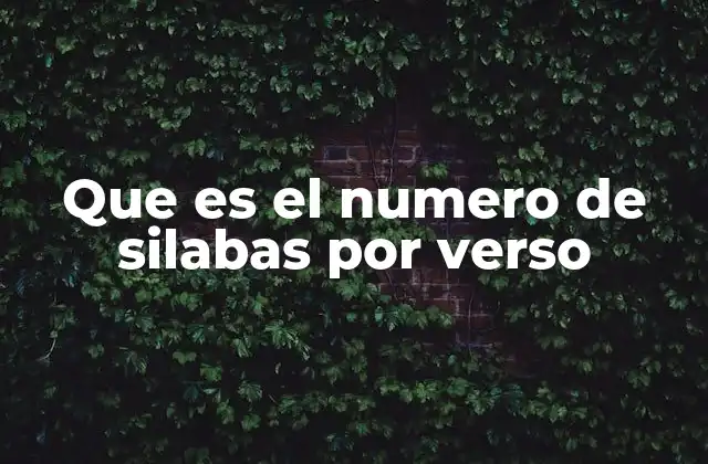 Que es el Numero de Silabas por Verso